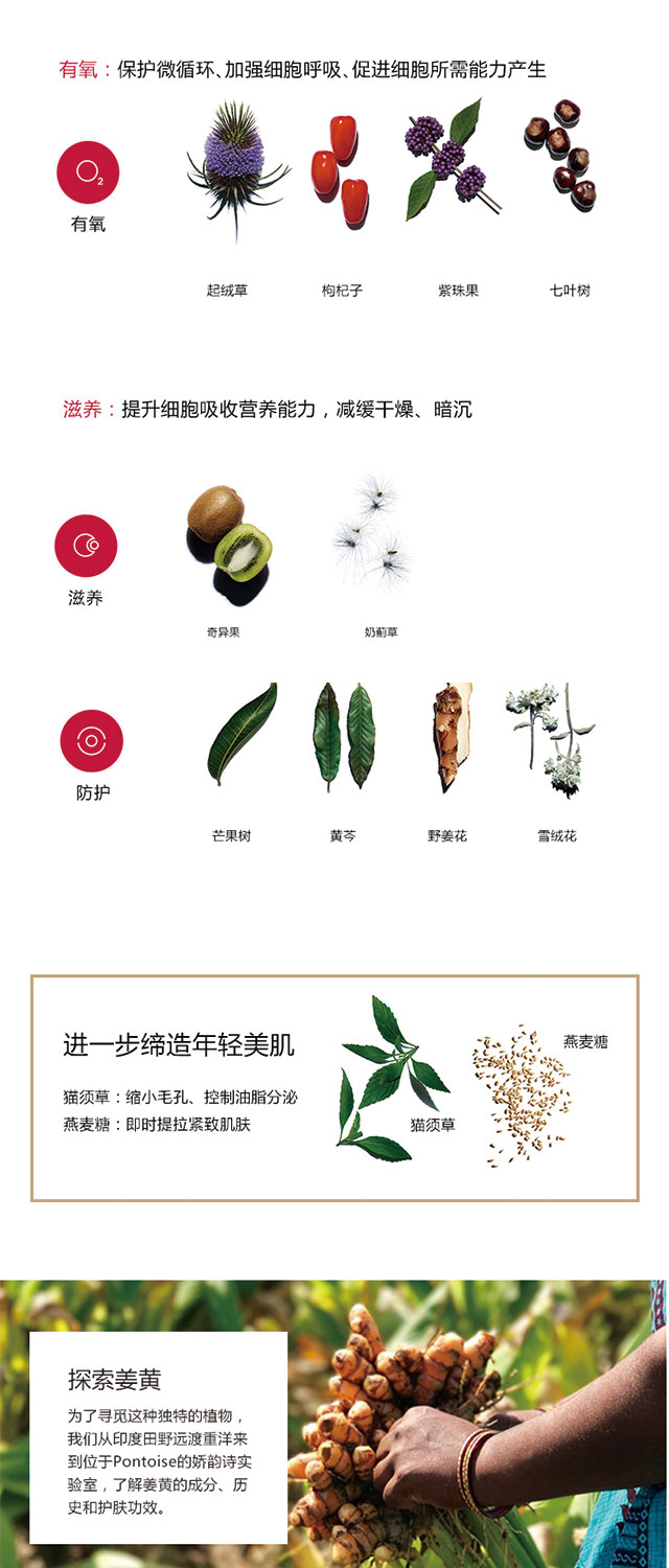 未标题-2_02.jpg