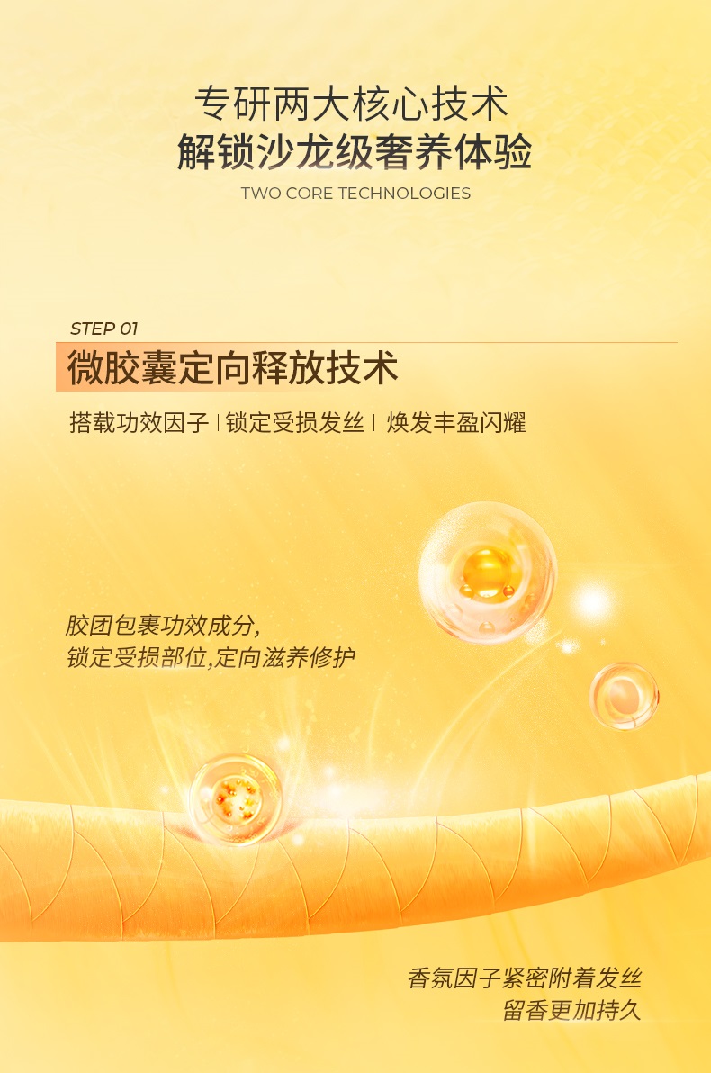描述 (12).jpg